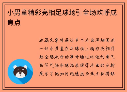 小男童精彩亮相足球场引全场欢呼成焦点