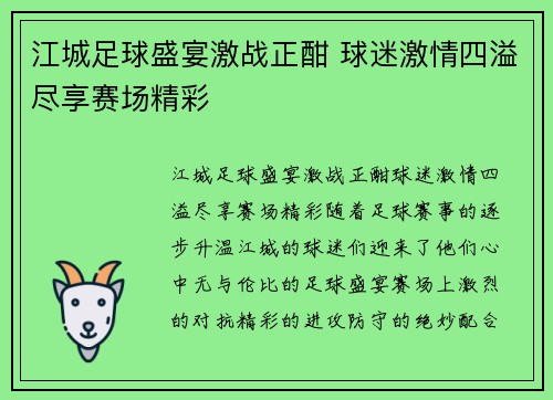 江城足球盛宴激战正酣 球迷激情四溢尽享赛场精彩