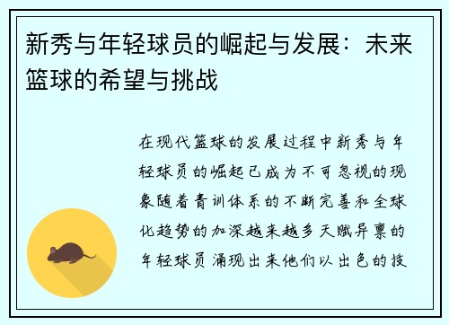 新秀与年轻球员的崛起与发展：未来篮球的希望与挑战