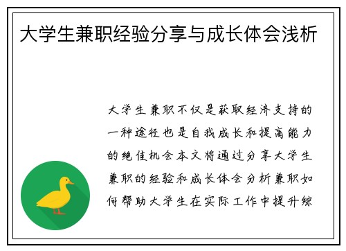 大学生兼职经验分享与成长体会浅析